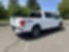 1FTEW1EP7GKD79061-2016-ford-f-150-2
