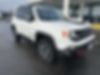 ZACNJBC14KPK44148-2019-jeep-renegade