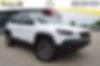 1C4PJMBN3LD621550-2020-jeep-cherokee
