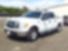 1FTEW1C87AFB39794-2010-ford-f-150-0