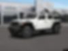 1C4PJXDG0RW279178-2024-jeep-wrangler-1
