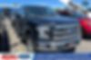1FTEW1EP5HKD02500-2017-ford-f-150-0