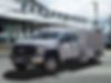 1FD0W5GT2HED32866-2017-ford-f-550-0