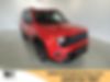 ZACNJDB12MPM62914-2021-jeep-renegade