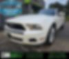 1ZVBP8AN4A5139627-2010-ford-mustang