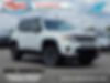 ZACNJBD12KPJ94350-2019-jeep-renegade