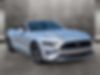 1FATP8UH0K5163704-2019-ford-mustang-0