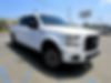 1FTEW1CP6FKE76284-2015-ford-f-150