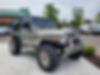 1J4FY29S8RP417285-1994-jeep-wrangler