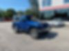 1J4AA5D15AL102843-2010-jeep-wrangler