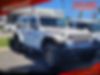 1C4JJXFM8LW194976-2020-jeep-wrangler