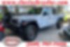 1C6JJTBG8RL118684-2024-jeep-gladiator
