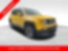 ZACCJBBT0GPE13246-2016-jeep-renegade