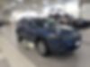 1C4PJMMX9MD194696-2021-jeep-cherokee
