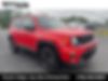 ZACNJDBB1MPM65599-2021-jeep-renegade