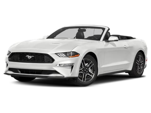 1FATP8UH8K5150182-2019-ford-mustang