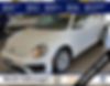 3VW5DAAT8KM509565-2019-volkswagen-beetle