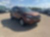 MAJ3S2GEXKC299850-2019-ford-ecosport